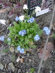 DSC02765.JPG