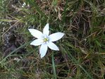 IMG_0465.JPG