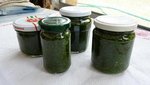 pesto ail des ours.JPG