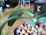 2012-04-09 11.44.55.jpg