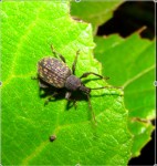 Cliché 2008-06-28 18-37-44.jpg