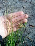DSC00151.JPG