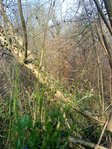 DSC00149.JPG