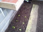 20120410_151202.jpg
