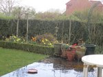 2012-04-11 ss  la pluie 1x.jpg