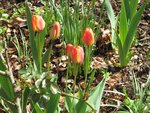 2012-04-11  1x.jpg