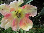 2012-04-11 3x.jpg