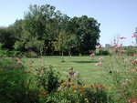 septembre 2011 le 15 vue sur le verger_redimensionner.JPG