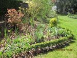 2012-04-11 après la pluie 2x.jpg