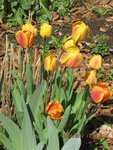 2012-04-11 2x.jpg