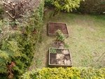 Voici mes deux carrés potager( désolé pour la glycine qui passe devant)