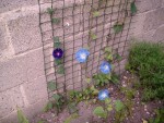 25 juin 2008 003 [800x600].JPG