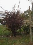 2012-04-12 09.13.15.jpg