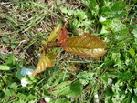 DSC04249.JPG