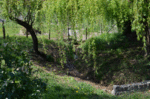 jardin modif3.gif