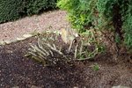 P1050066-2.jpg
