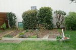 P1050062-1.jpg