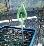 IMG_20120420_151328.jpg