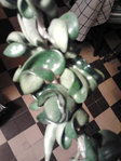 2012-04-20-21.19.07_web.jpg
