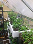 21042012 ma jungle 2.jpg