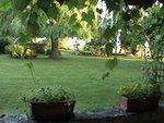 06 2010 le 24 vue prise de la cuisine d'été_redimensionner.JPG
