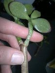 2012-04-21-007.jpg