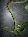 2012-04-21-009.jpg