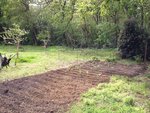 potager.jpg