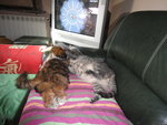 DSC00833.JPG