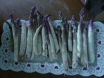 asperges d'argenteuil.jpg