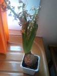 2012-04-25 18.19.25.JPG