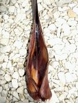 Base d'une autre feuille du Phormium