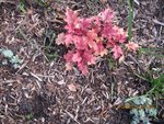 2012-04-27 heu. x dte.jpg