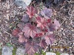 2012-04-27 heu.2x dte.jpg