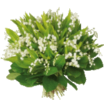 bouquet muguet.gif