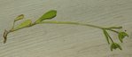 IMGP8944 (640x275).jpg