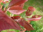 DSC05648.JPG