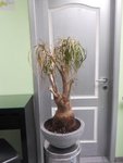 DSCN0800.jpg