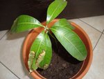 DSC05679.JPG