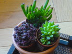 2012_04290107.JPG