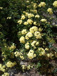 DSC00069.jpg