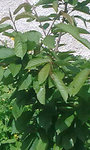 01052012_001_edited.jpg