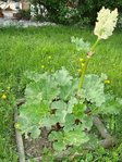 DSC01412.JPG