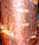 01052012_008_edited.jpg