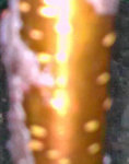 01052012_010_edited.jpg