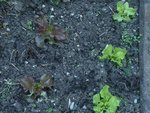 une autre série à consommer dans 3 semaines.jpg