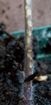 original020512073-4-Modifier640.jpg