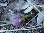 DSC00276.JPG