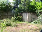 Voici le jardin il y a deux ans, lorsque j'ai acheté.<br />Nous venions juste d'arracher un immense résineux (cèdre ?) d'environ 7mètres de haut, qui devrait se trouver au centre de la photo.