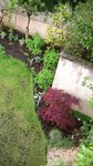 Nous voici en 2012 : toutes les plantes ont pris une belle ampleur. Je suis ravie !